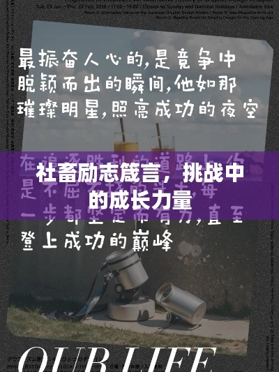 社畜励志箴言，挑战中的成长力量