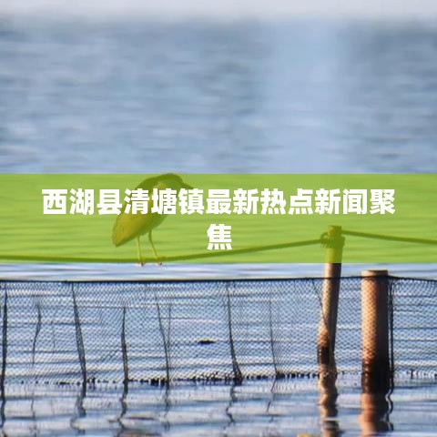 西湖县清塘镇最新热点新闻聚焦